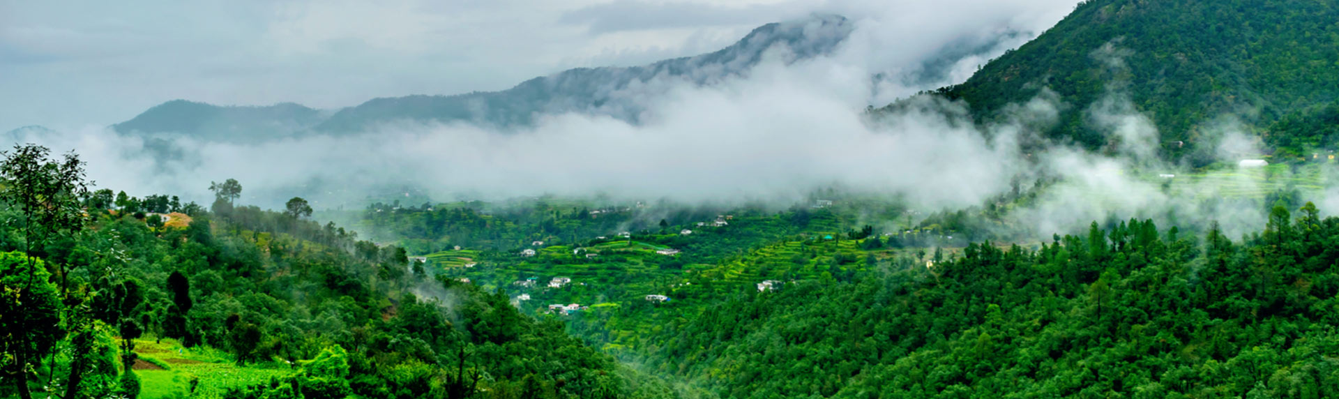 Amazing view of Binsar valley near Almora with clouds floating on the hill is perfect for Binsar sightseeing
